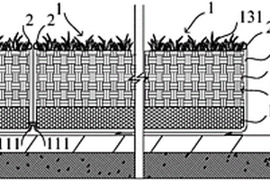 屋面种植系统