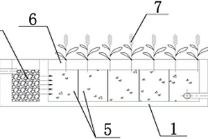 用于污水处理的人工湿地结构