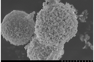 制备核壳结构金属氧化物的方法、一种核壳结构金属氧化物