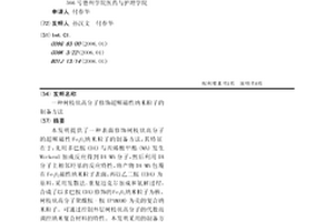 树枝状高分子修饰超顺磁性纳米粒子的制备方法