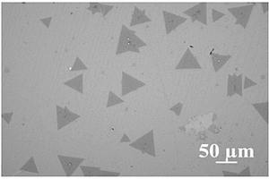 MoS<Sub>2</Sub>/Graphene二维材料异质结可见光催化剂的制备方法