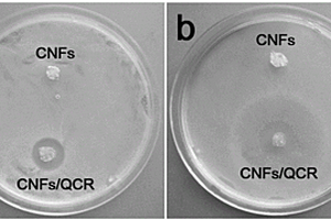 纳米纤维素复合抗菌材料及其制备方法与应用