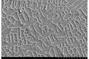 TiB<Sub>2</Sub>/Fe<Sub>64</Sub>Ni<Sub>36</Sub>复合涂层的其制备方法