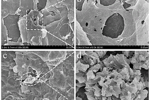 M-g-C<sub>3</sub>N<sub>4</sub>/rGOA复合吸附可见光催化材料的制备方法及应用