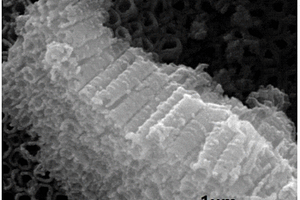 CdS/TiO<sub>2</sub>纳米管阵列异质结及其制备方法