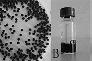 多氨基壳聚糖-玉米粉复合磁性展青霉素吸附剂及其制备方法和应用