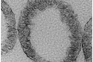 钠离子电池负极材料少层二硫化铼纳米片/空心碳球及其制备方法
