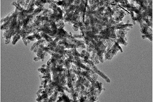 二氧化硅纳米管限域镍纳米颗粒及其制备方法