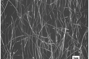 银纳米线/石墨烯复合薄膜的制备方法