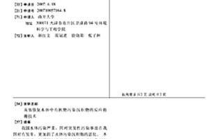 高效修复水体中有机物污染沉积物的反应格栅技术