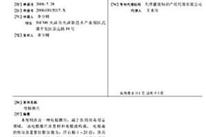 电极擦片