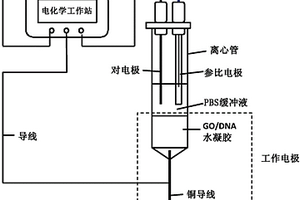水凝胶电极的制备方法与应用