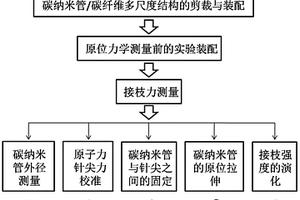 碳纳米管端部与碳纤维表面接枝强度的测量方法