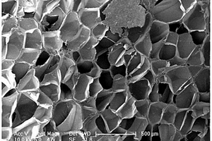 细孔聚氯乙烯泡沫材料及其制备方法
