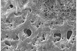 聚苯胺纳米线/三维多孔石墨烯电极材料的制备与应用
