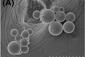 植物油酸-壳聚糖基纳米微胶囊农药、其制备方法及其应用
