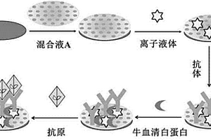 有序介孔碳构建的妇科肿瘤标志物免疫传感器制备及应用