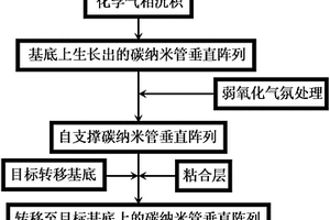 大面积碳纳米管垂直阵列快速无损转移方法