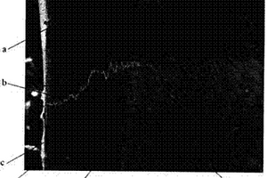 碳纤维表面溴代环氧树脂向上浆剂扩散的新方法