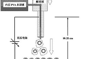 石榴状的复合纳米粒子的制备方法