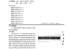 可实现树脂自浸润的金属层仿生微结构纤维金属层板