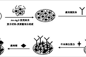 快速检测瘦肉精无标记免疫传感器的制备方法和应用