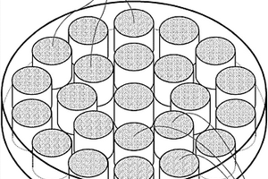 用于制造纤维嵌芯的CAD/CAM可加工圆盘