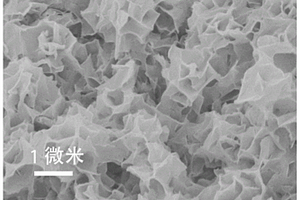 异质多孔超薄MoNi<Sub>4</Sub>/MoO<Sub>2</Sub>二维纳米片及其制备方法和应用