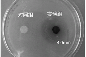 缓释型细菌纤维素基抗菌剂的制备方法