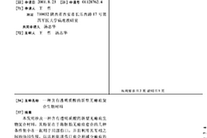 含有透明质酸的新型无瘢痕复合生物材料