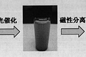 以锯齿形纳米结构为载体形成易分离、可循环使用的复合功能纳米材料