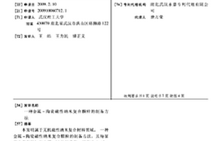 金属-陶瓷磁性纳米复合颗粒的制备方法