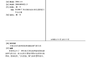 垃圾无害化处理提取新能源油和气的方法
