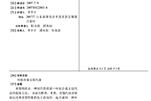 环保合成无铅汽油