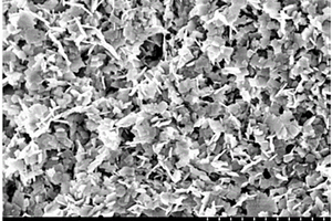 （200）晶面暴露单分散CuO纳米片的合成方法