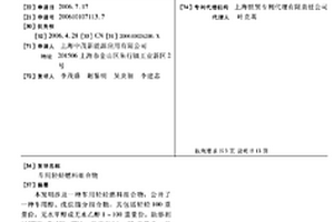 车用轻烃燃料组合物