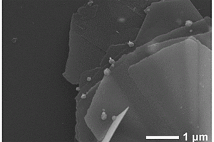 Ag/α-Co(OH)<Sub>2</Sub>析氧催化剂的制备方法