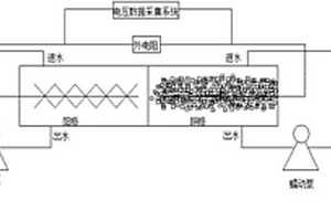 微生物燃料电池毒性传感器及运行方法
