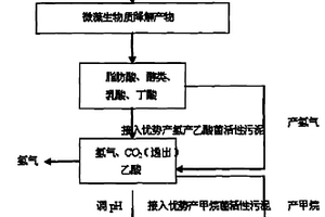 微藻两步法生产生物能源