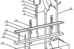 风电系统供电提水泵从雨水收集池提水浇灌树木的装置
