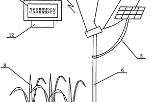 色彩传感器在晚稻栽培三黑三黄方法中的应用装置