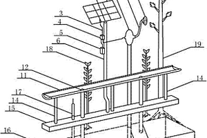 太阳能光伏供电提水泵从雨水收集池提水浇灌树木的装置