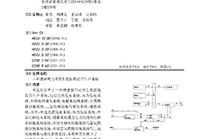 清洁氢与可再生能源氢联合生产系统