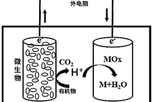 微生物燃料电池阴极、制备方法及其应用