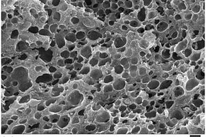 三维多孔磷酸锰锂、其制备方法及用途