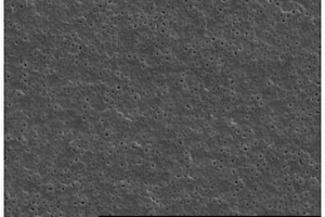 利用等离子体电解氧化技术制备TiO<Sub>2</Sub>粉末负极的方法