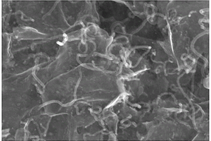 碳纳米片原位负载碳纳米管的复合纳米材料及其制备方法和应用