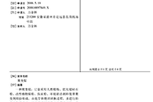 聚变煤