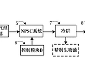 生物质与废塑料制取生物油和燃气的装置