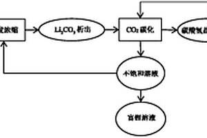 沉积型锂钾盐富集提取锂盐的方法